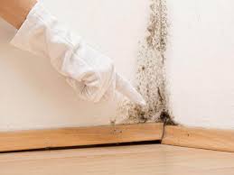 Best Mold Remediation for Healthcare Facilities  in Meadow Lake, NM